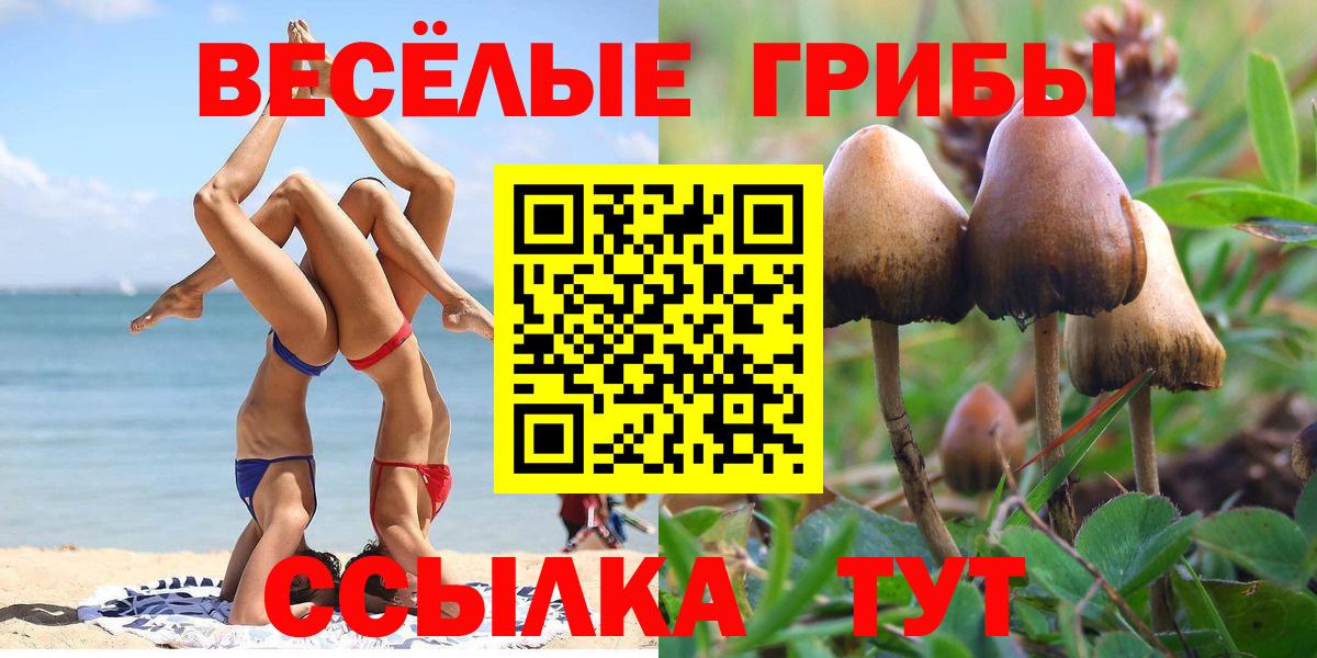 Галлюциногенные грибы Cubensis  Вход с VPN  Новодвинск 