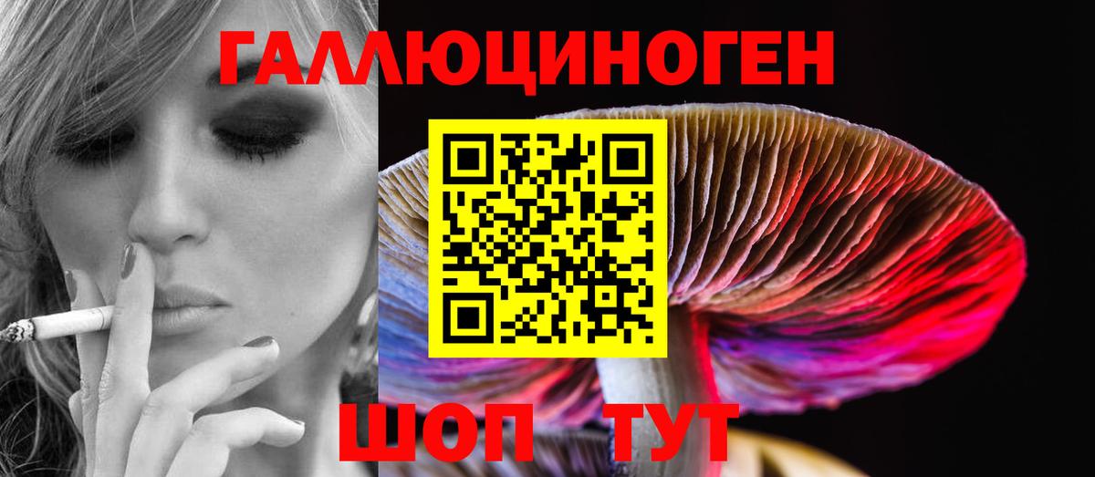 Псилоцибиновые грибы мицелий Новодвинск